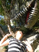 динозавр не страшен